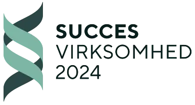 succesvirksomhed 2024